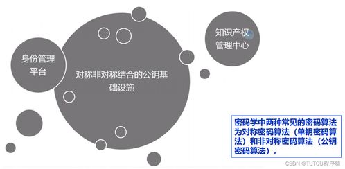 物聯網安全架構、基礎設施與安全軟件開發 構建可信的互聯世界