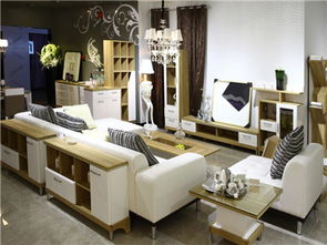 斯可馨定制家具讓您體驗(yàn)私人訂制的感覺